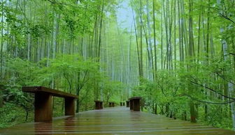 新西湖十景 一 西湖新景如夢(mèng)