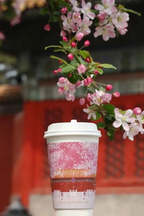 從荷花雪糕 三千佳麗奶茶到劇本殺,文創(chuàng)產(chǎn)品讓我們多了去博物館的理由